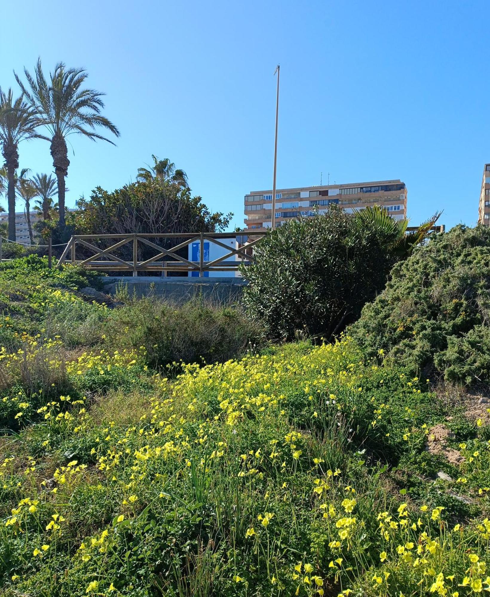Apartamento Miramar Torrevieja Kültér fotó