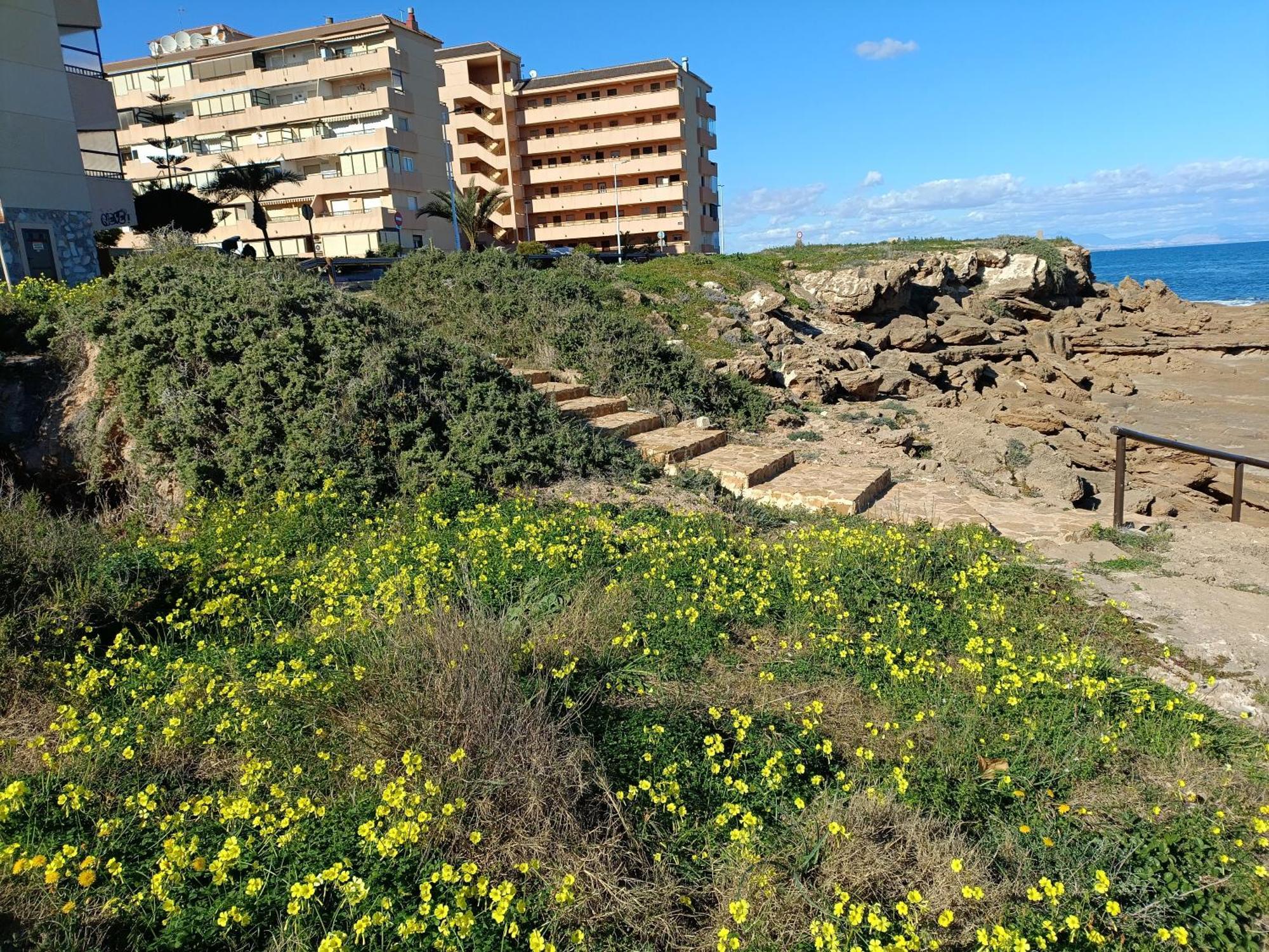 Apartamento Miramar Torrevieja Kültér fotó